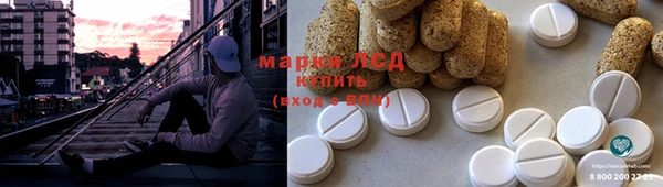 сатива Володарск