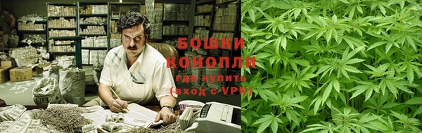 сатива Володарск