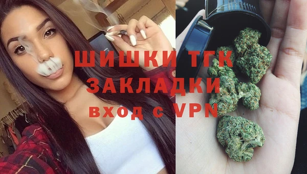 сатива Володарск