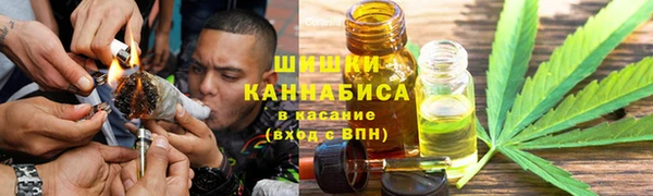 сатива Володарск