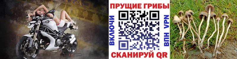 Галлюциногенные грибы мухоморы  Купить закладки  Нижняя Тура 