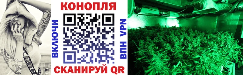 Купить закладки  Нижняя Тура  Каннабис OG Kush 